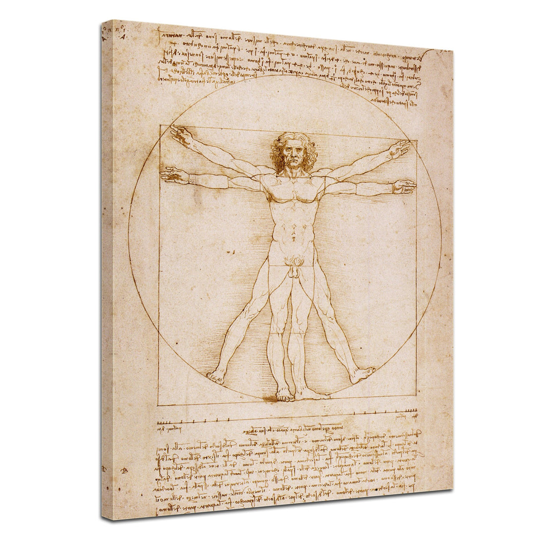 Bilderdepot24 Bild auf Leinwand | Leonardo da Vinci Vitruvianischer Mensch in 50x60 cm als Wandbild