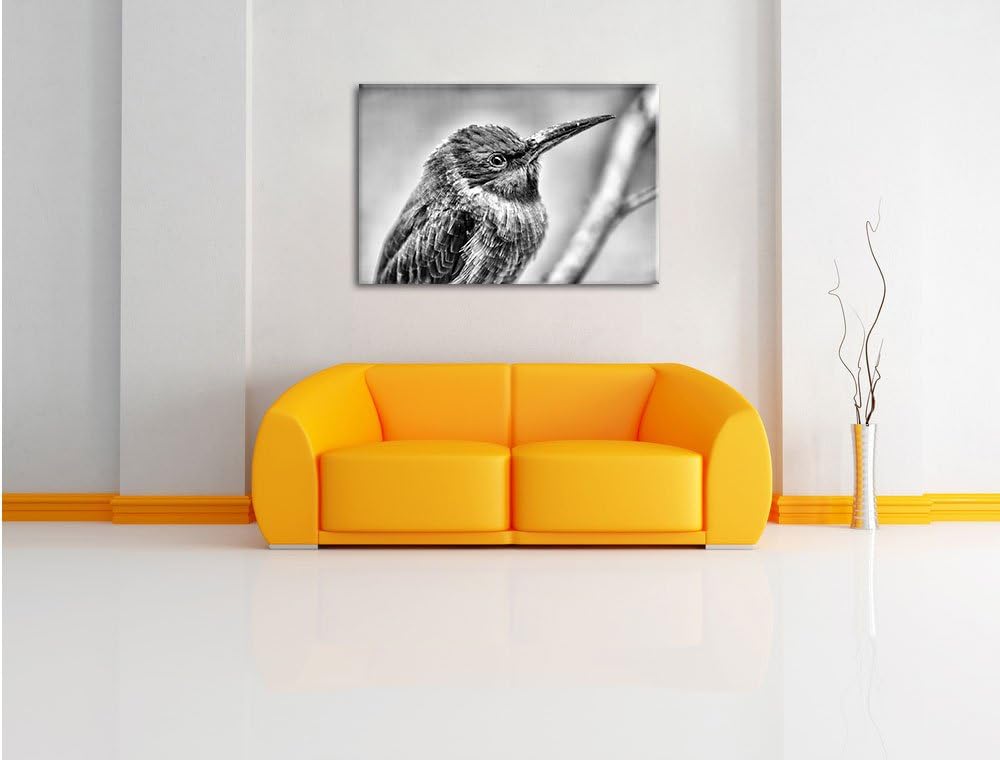 Pixxprint Kleiner tropischer Vogel / 100x70cm Leinwandbild bespannt auf Holzrahmen/Wandbild Kunstdru