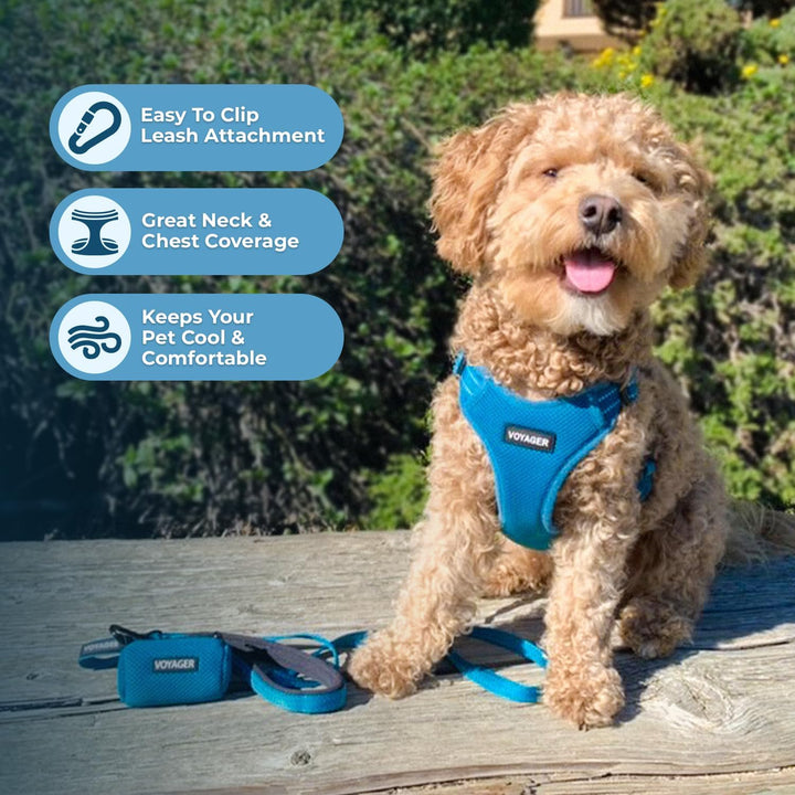 Voyager Verstellbares Hundegeschirr mit Reflektorstreifen by Best Pet Supplies - Strapazierfähige Ga