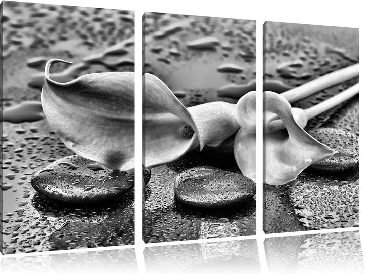 Pixxprint Callas im Regen / 3-Teilig/Gesamtmass 120cm Leinwandbild bespannt auf Holzrahmen/Wandbild