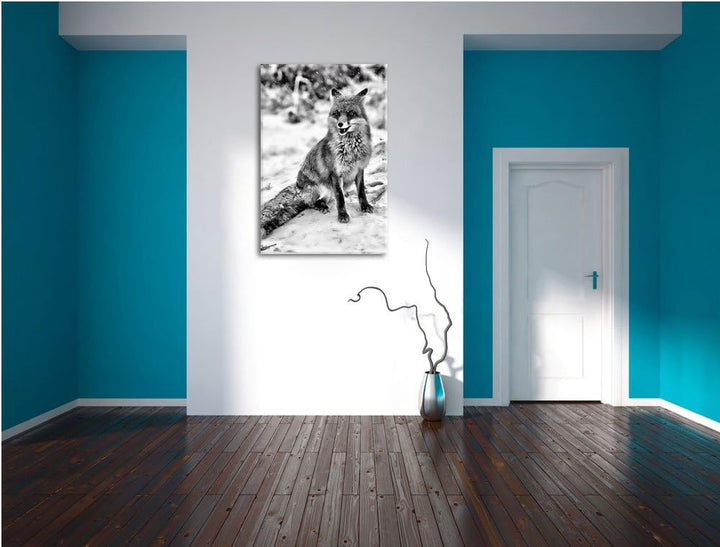 Pixxprint Fuchs im Schnee als Leinwandbild/Grösse: 100x70 / Wandbild/Kunstdruck/fertig bespannt, 100