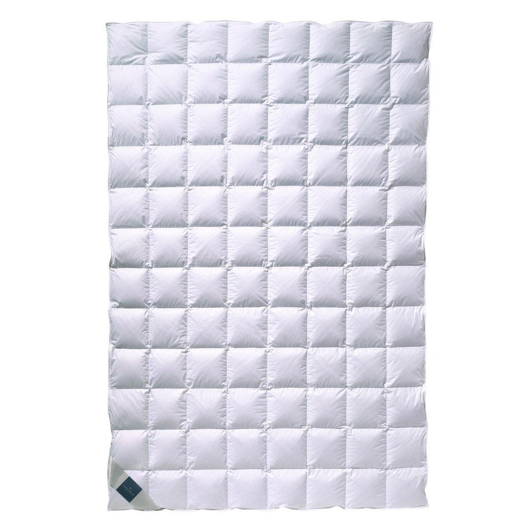 billerbeck Daunendecke | Nena | 155 x 220 cm | 100 % Daunen | Optimale Wärme- und Feuchtigkeitsregul