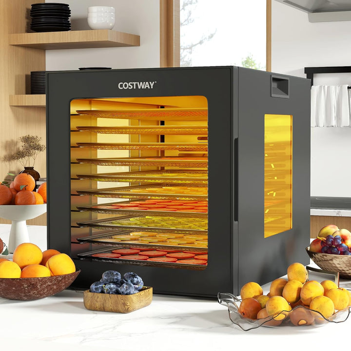 COSTWAY 850W Dörrautomat inkl. 10 Edelstahl-Schalen, Dörrgerät mit 10 voreingestellten Programmen, 4