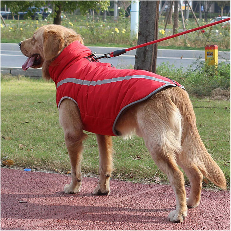 PETCUTE Hundemantel wasserdicht hundejacke für mittelgrosse Hunde Warme hundemantel Fleece Grosse Hu