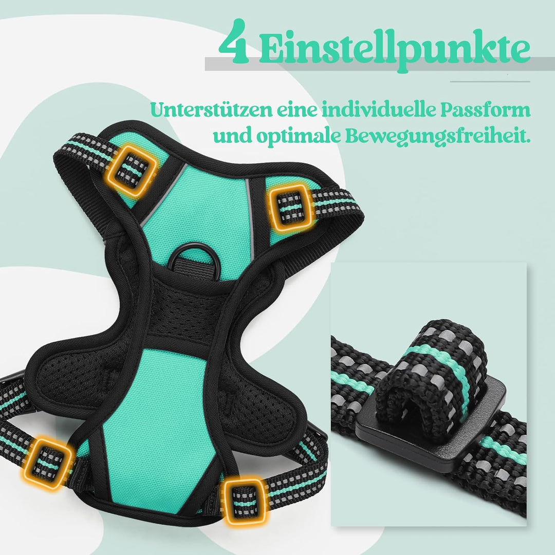 rabbitgoo Hundegeschirr Kleine Hunde, Anti Zug Geschirr mit Kontrolle, No Pull Verstellbar Hundegesc