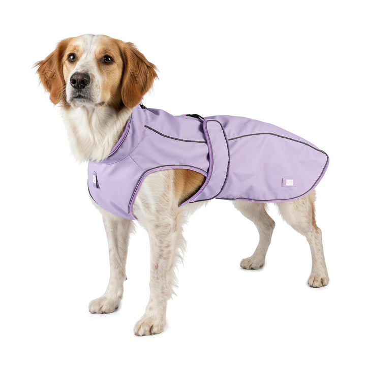 Max & Molly Regenmantel Hund wasserdicht, L, Lavender, Sportliche Regenjacke für Hunde mit verstellb