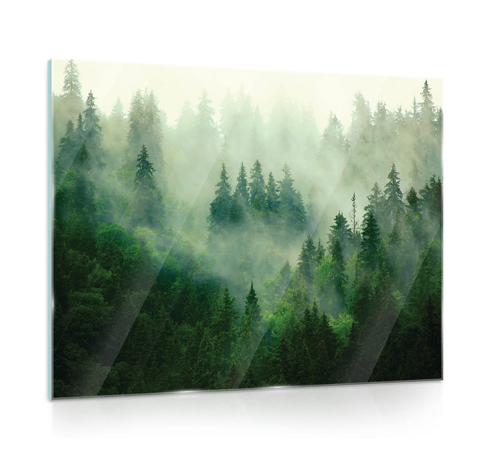 Glasbild Wald im Nebel Natur Landschaft 80x60 cm Modern Glasbilder Wohnzimmer Schlafzimmer Badezimme