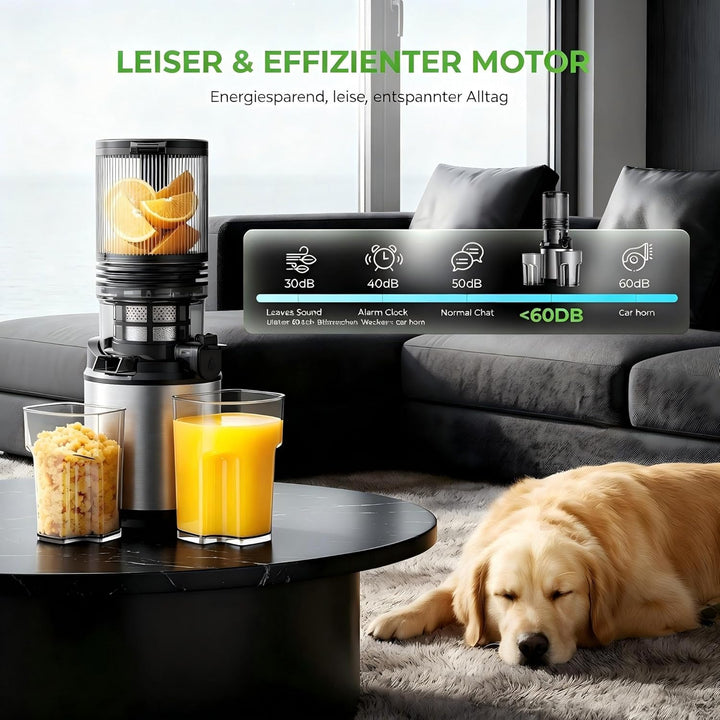 Entsafter - Saftpresse mit Breiter Einfüllschacht | 250W Kaltpress Entsafter für Ganze Früchte & Gem