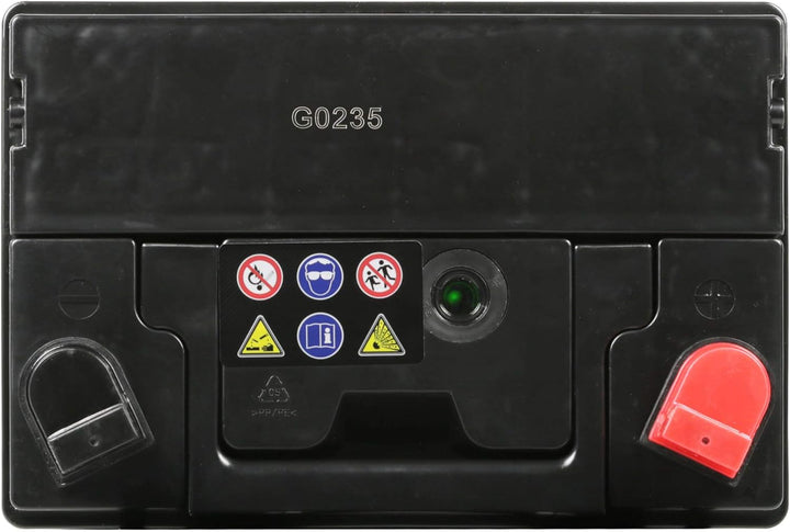 Electronicx Premium Rasentraktor Batterie 12V 30Ah Aufsitzrasenmäher Akku Rasenmäher Pluspol Rechts,