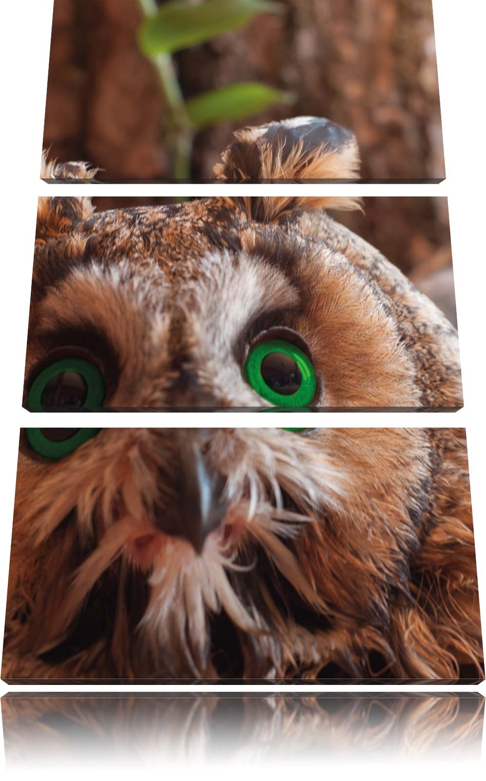 Pixxprint Kleine Eule grüne Augen als Leinwandbild/Grösse: 3 Teilig (120x80) cm/Wandbild/Kunstdruck/