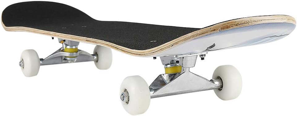 Willonin Skateboard Komplettboard mit ABEC-7 Kugellager 9-lagigem Ahornholz für Kinder Jungendliche