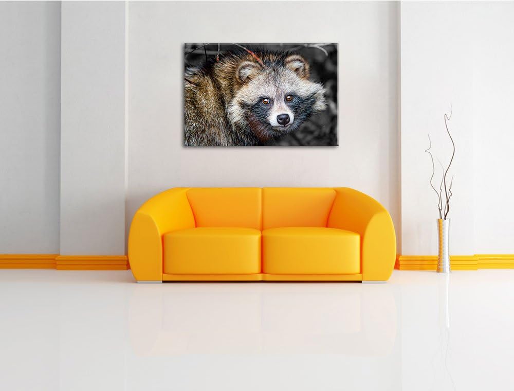 süsser Waschbär schwarz/weiss Format: 100x70auf Leinwand, XXL riesige Bilder fertig gerahmt mit Keil