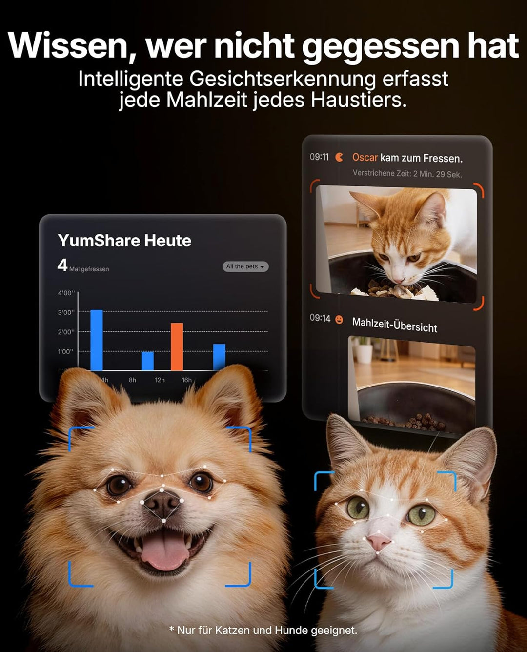 PETKIT YumShare Solo 2 Futterautomat Mit Kamera, Gesichtserkennung für Mehrere Katzen,KI Futterautom