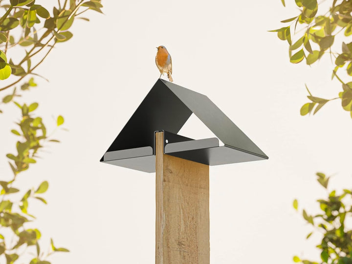 Alberts 355050 Vogelhäuschen Nurdach | Vogelfutterhaus aus Stahl in verschiedenen Trendfarben | Voge