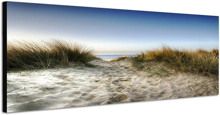 Paul Sinus Art Panoramabild auf Leinwand und Keilrahmen 150x50cm Sanddüne Gräser Meerblick Himmel