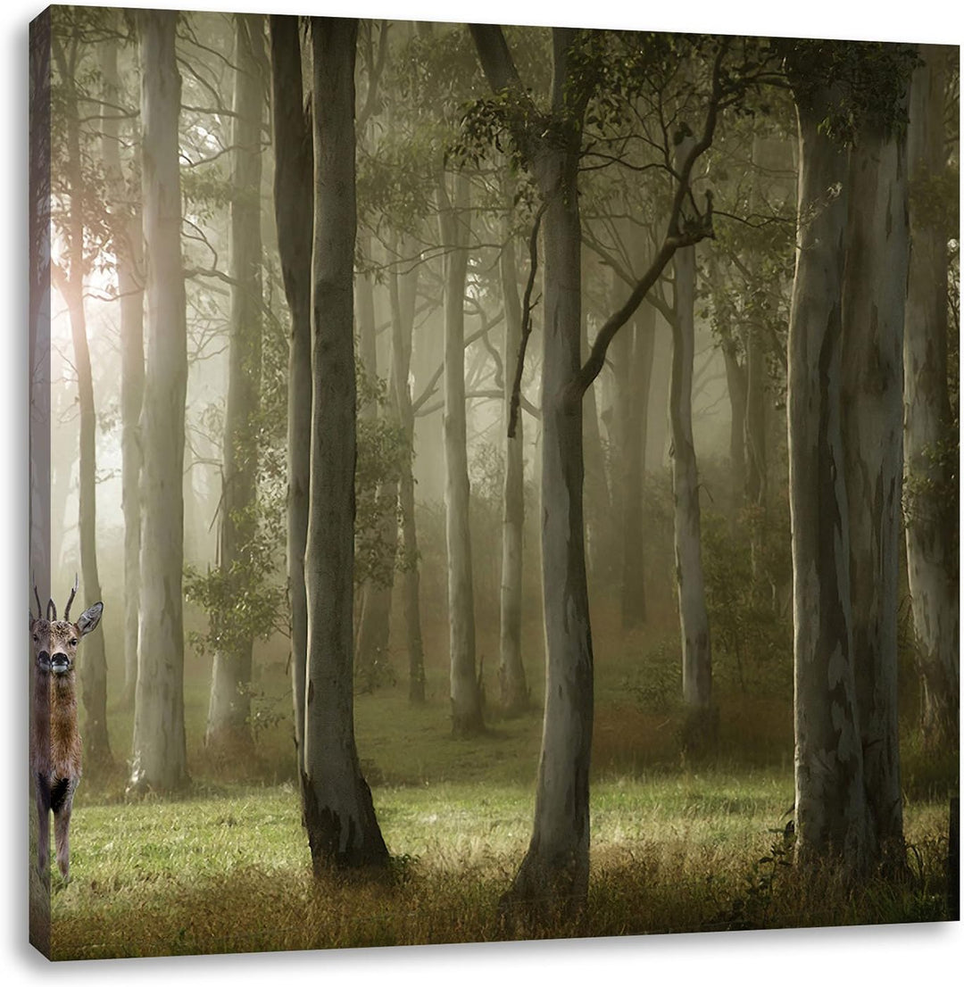 Pixxprint Einsamer Hirsch im tiefen Wald, Format: 70x70 auf Leinwand, 70x70