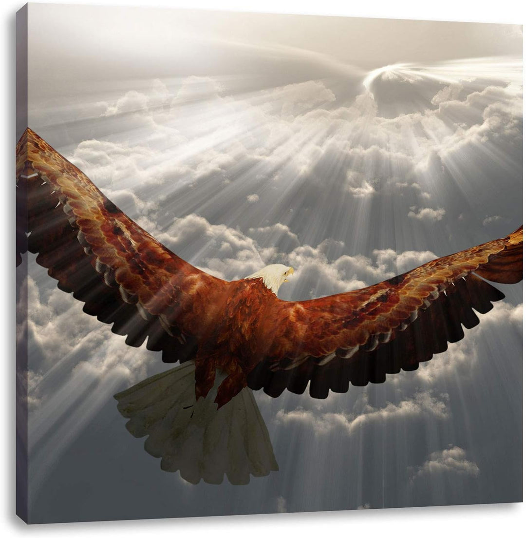 Adler über den Wolken, Format: 70x70 auf Leinwand, XXL riesige Bilder fertig gerahmt mit Keilrahmen,