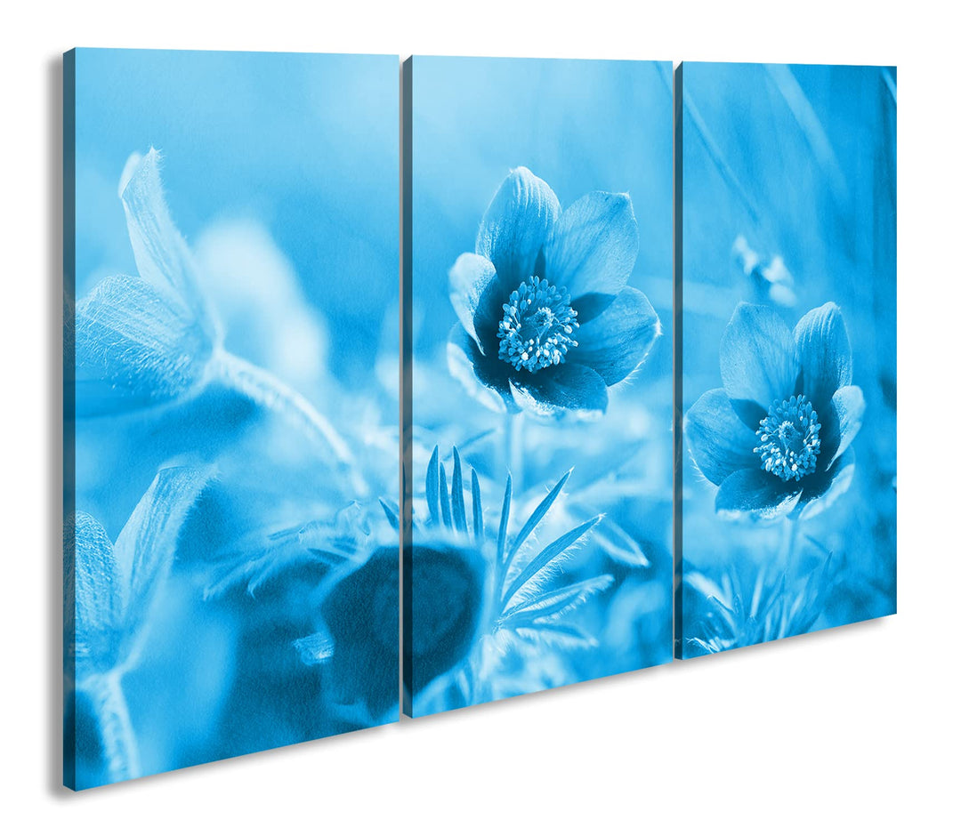 deyoli bezaubernde Blumen Format 120x80 3Teilig Effekt: Monocrome Blau als Leinwandbild, Motiv ferti