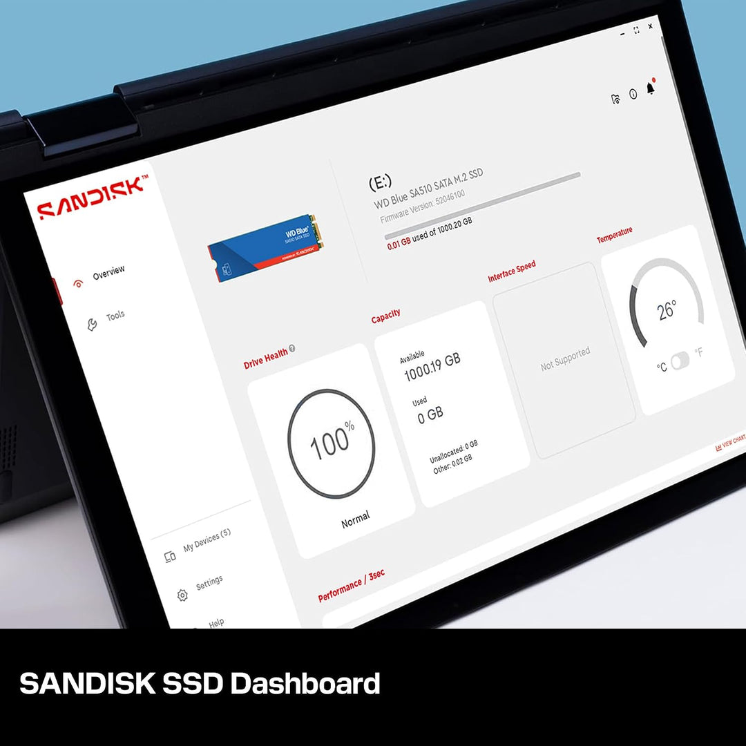 WD Blue SA510 SATA SSD 250 GB M.2 2280 (Lesen bis 555 MB/s, Schreiben bis 440 MB/s, Upgrade für PC/L