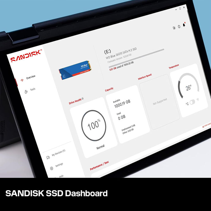 WD Blue SA510 SATA SSD 250 GB M.2 2280 (Lesen bis 555 MB/s, Schreiben bis 440 MB/s, Upgrade für PC/L