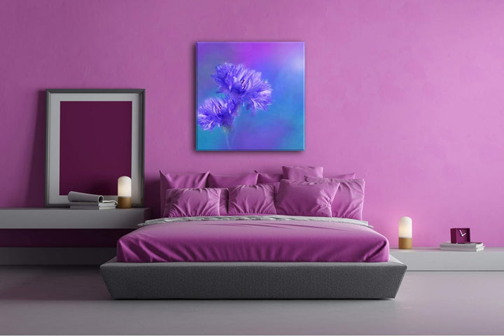 deyoli Zwei Violette Kornblumen Format: 70x70 als Leinwand, Motiv fertig gerahmt auf Echtholzrahmen,