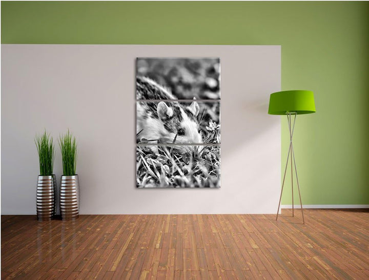 Pixxprint Maus auf Wiese als Leinwandbild/Grösse: 3 Teilig (120x80) / Wandbild/Kunstdruck/fertig bes