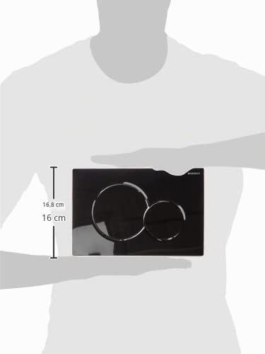 Geberit 115.770. DW. 5 Betätigungsplatte Sigma01, Kunststoff Griff, tiefschwarz RAL9005, Tiefschwarz