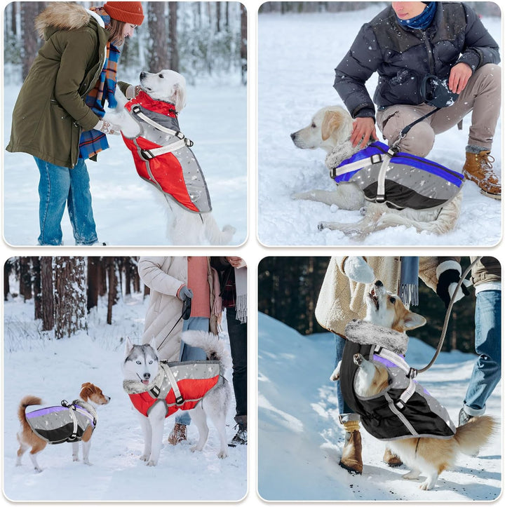 Hundemantel Winter, Wasserdichter Fleece Hundejacke mit Geschirr für kleine, mittlere und grosse Hun