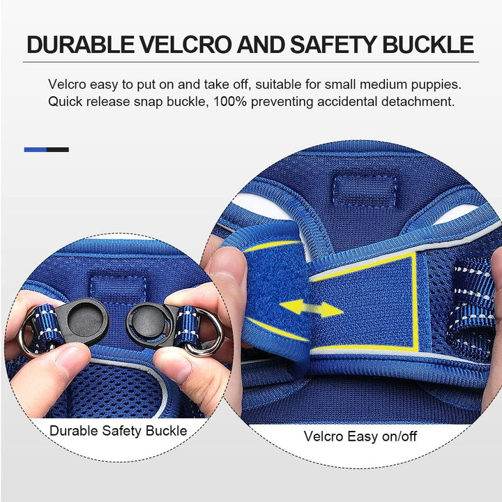 Suredoo Hundegeschirr mit Leine Anti Zug Geschirr Reflektierend Brustgeschirr für Kleine Hunde, Haus