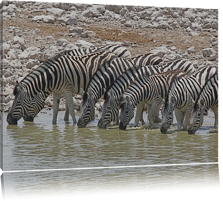 Zebraherde am Wasserloch Leinwand, XXL riesige Bilder fertig gerahmt mit Keilrahmen, Kunstdruck auf