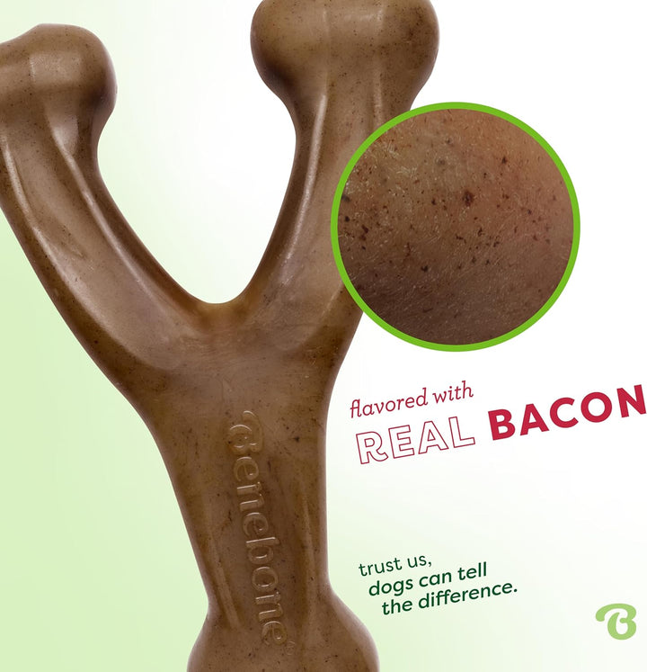 Benebone - Wishbone Bacon 21 cm - (854111004088) Speck Gross, Speck Gross