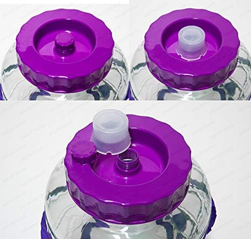 Multifunktions Gärballon Universelles Glas mit Gärsystem Gärbehälter Glasballon Grösse zur Wahl (9 L