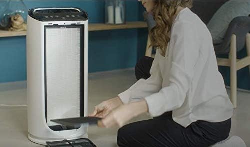 Rowenta XD6074F0 Allergy + Plus Filter, offizielles Zubehör für Pure Air Intensiver Luftreiniger, bi