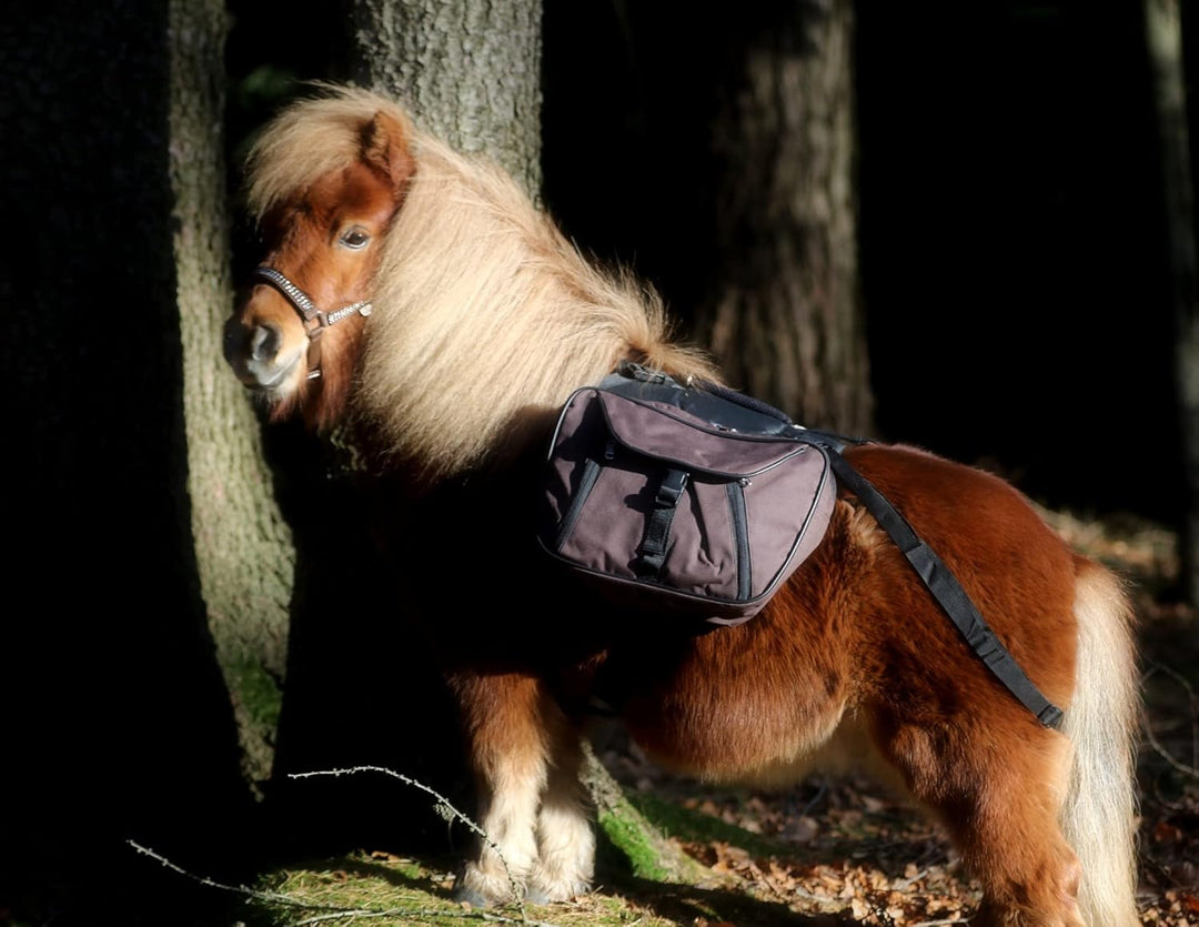 Tysons Breeches Rucksack Trekking Wanderrucksack Packtaschen Minishetty Mini Shetty Blau o Schwarz W