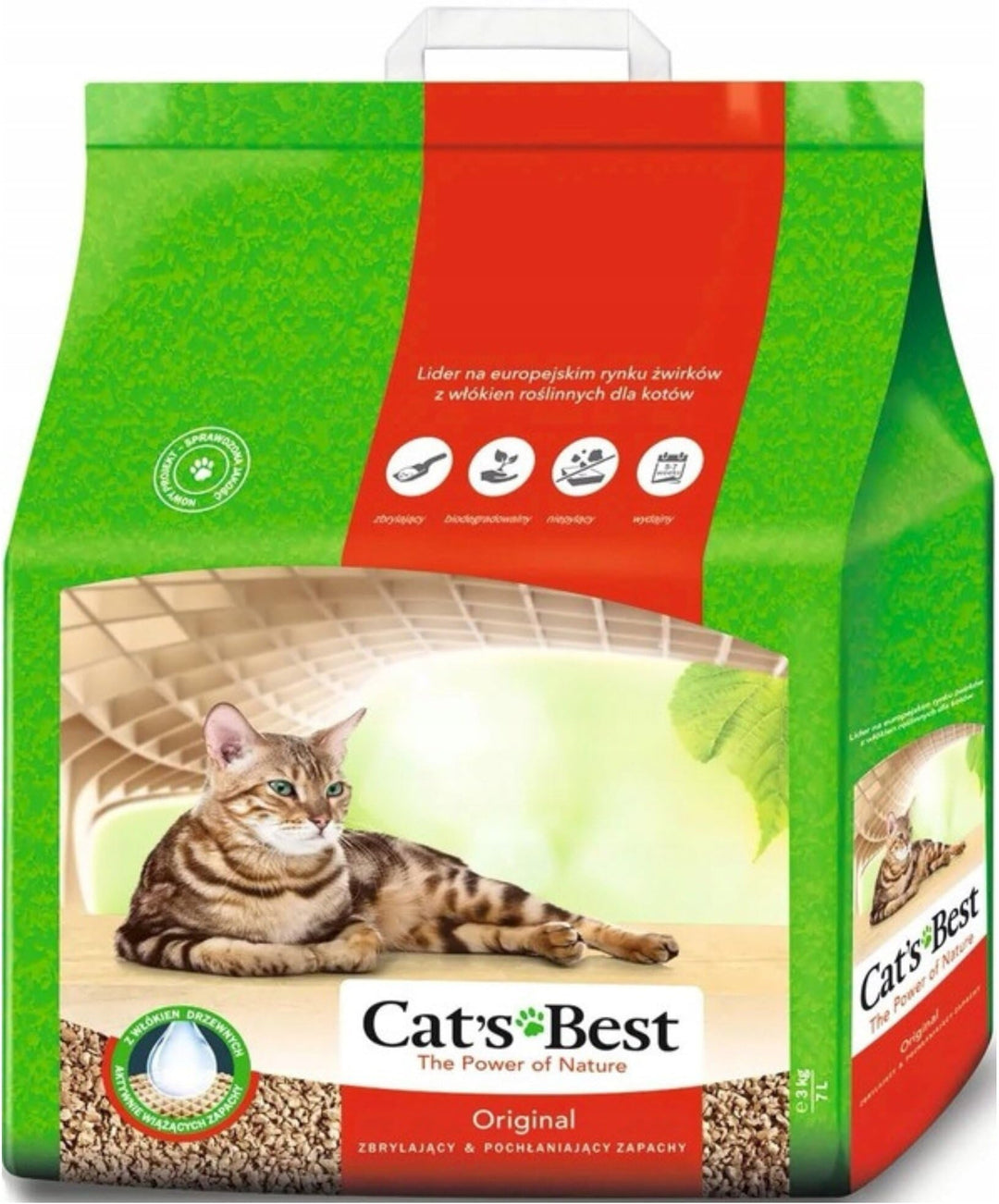 Cat&