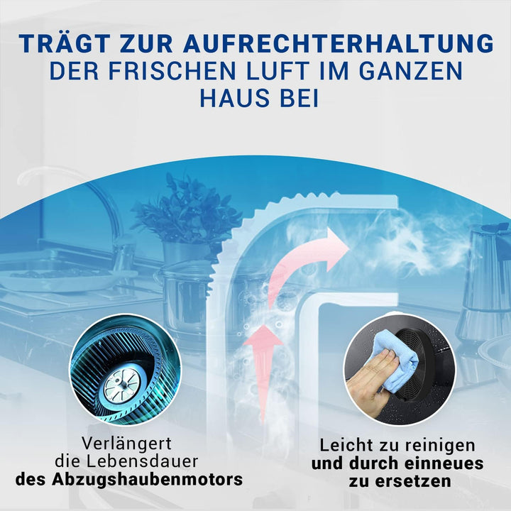 VIOKS Aktivkohlefilter Dunstabzugshaube 196mmØ SET 2x Ersatz für Electrolux 902979357/8 50290659007