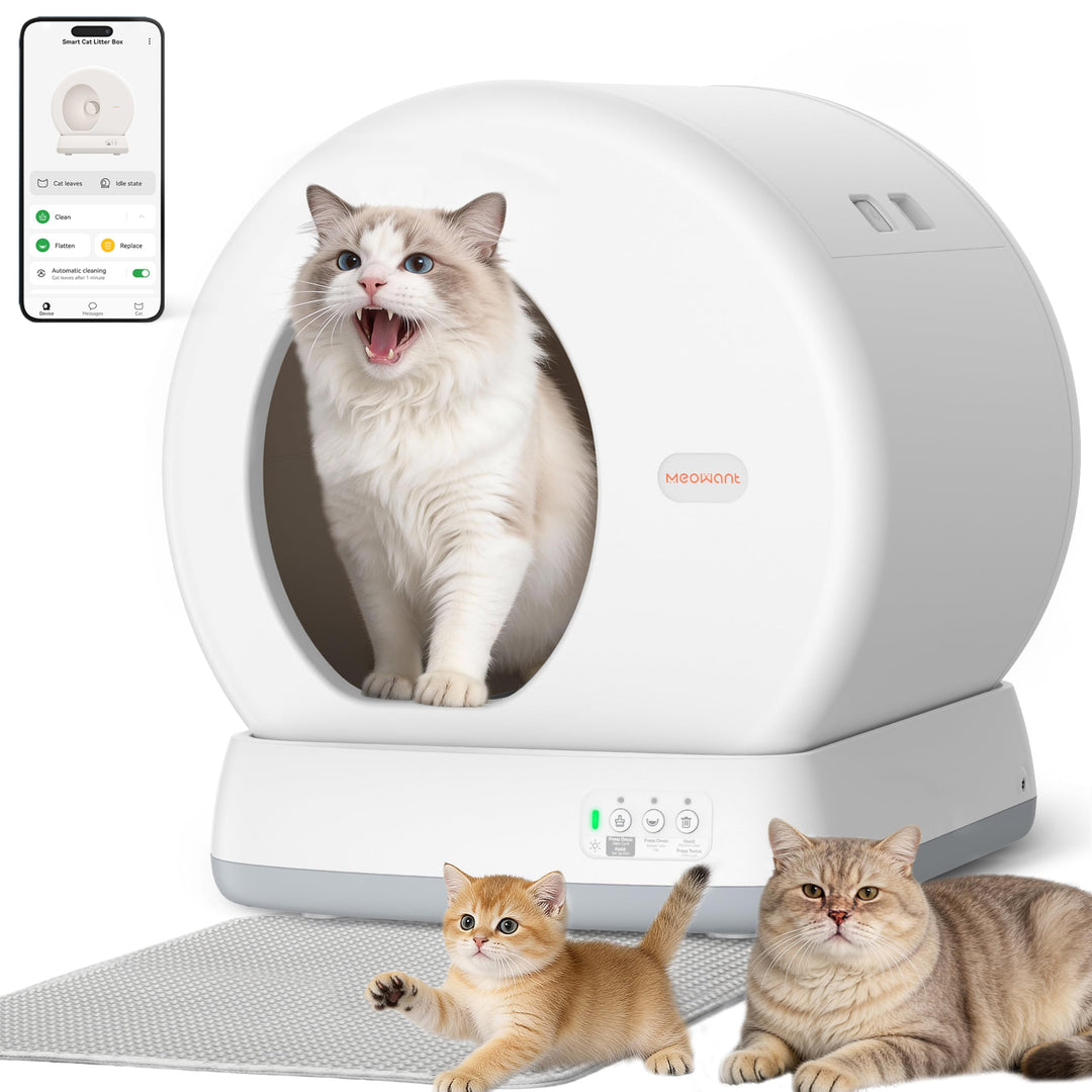 MeoWant Selbstreinigende Katzentoilette Grosses mit App-Steuerung | Automatisches Katzenklo mit Inte
