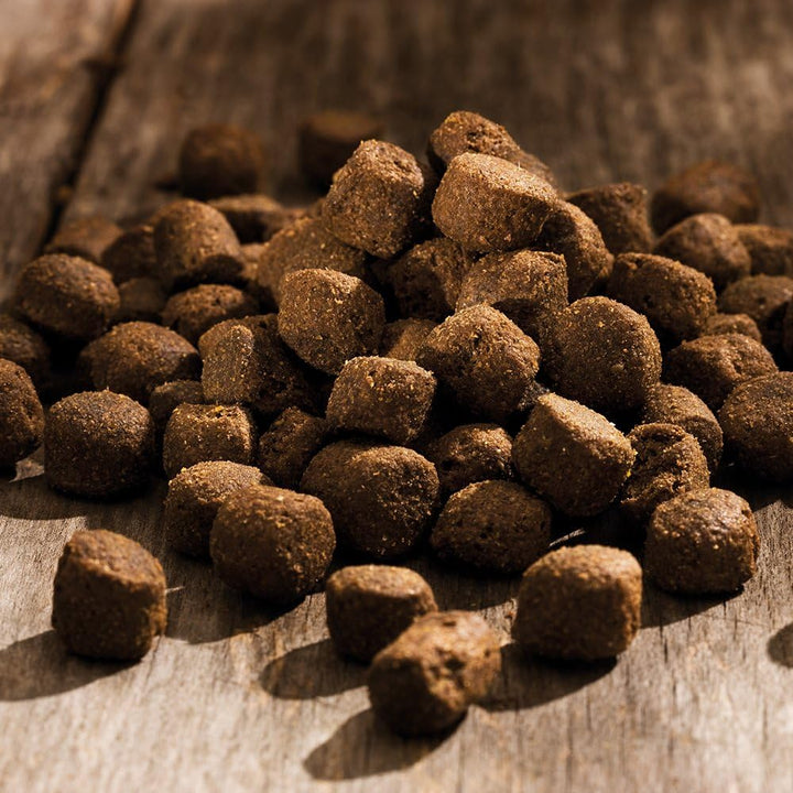 Happy Dog Hundefutter 60013 Adult Maxi 15 kg 15 kg (1er Pack), 15 kg (1er Pack)