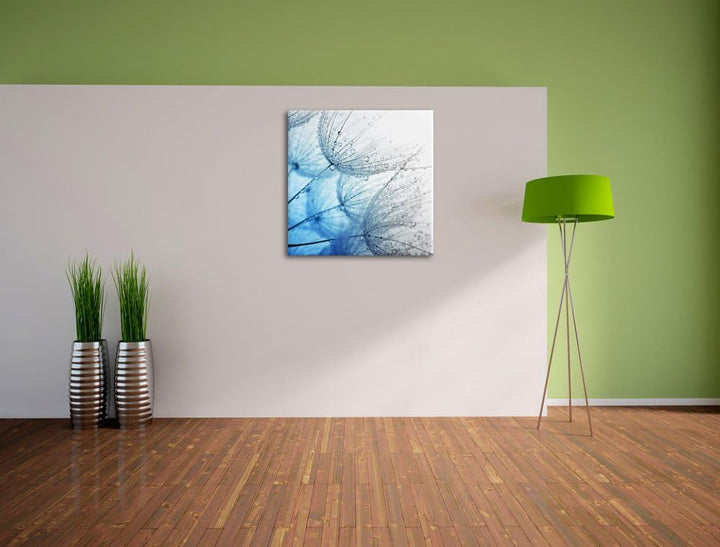 Pixxprint Tropfen bedeckte Pusteblumen Schwarz/Weiss, Format: 70x70 auf Leinwand, 70x70