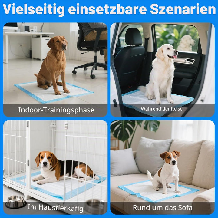 100 Stück Trainingspads für Hunde, 60X60 cm PIPI Matten für Welpen, Unterlagen Baby mit 6 Schichten
