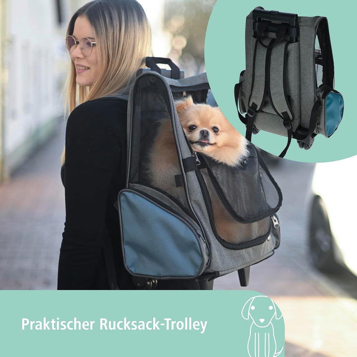Trolley Vacation 41x26x55/103cm, grau/blau