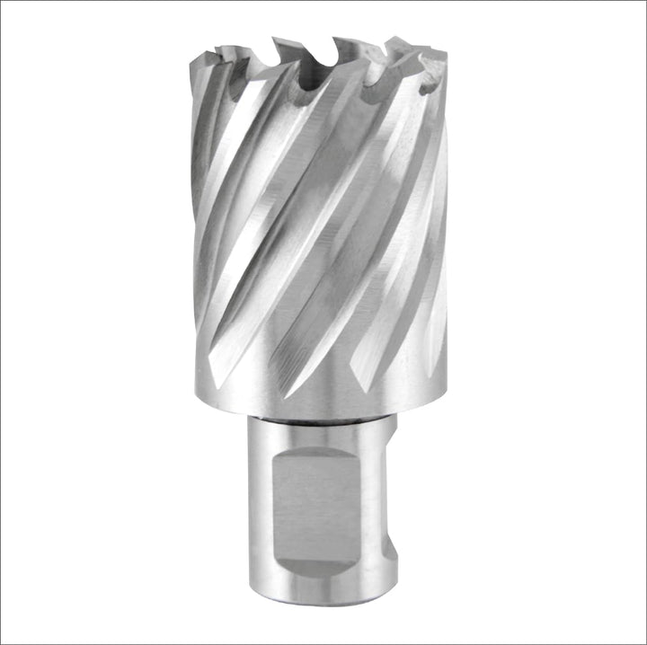 Ruko Terrax Kernbohrer Satz Weldon 12-22 mm30 mm Schnittife, 108820"