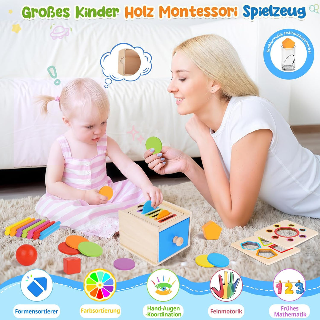 FCSONU Montessori Spielzeug ab 1-3 Jahr|Sortierspiel Feinmotorik Steckspiel | 3in1: Holz Farbe Sorti