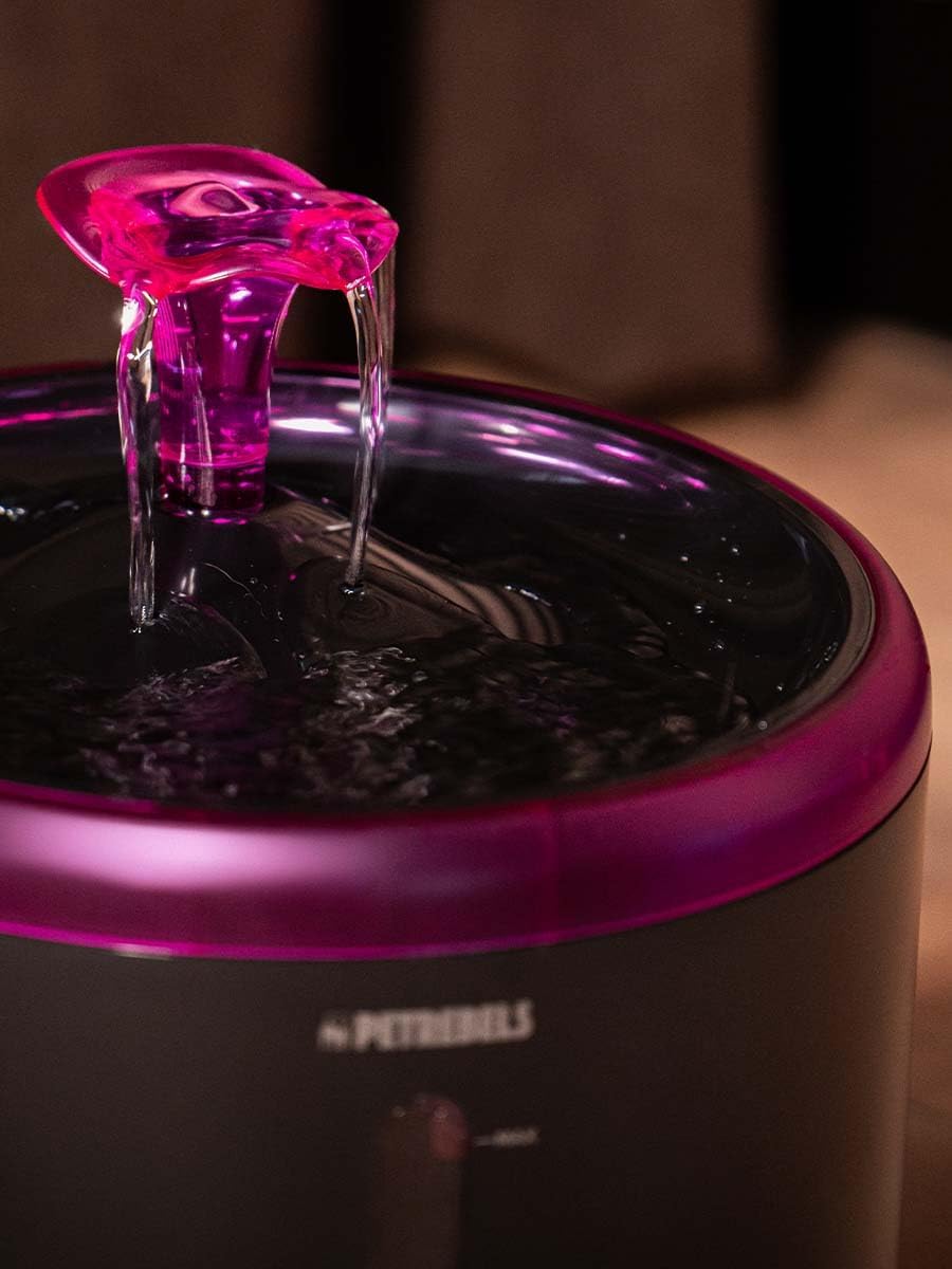 Petrebels Trinkbrunnen für Katze, Spring 20 Katzenbrunnen, mit LED, Ultra Leise, mit Aktivkohlefilte