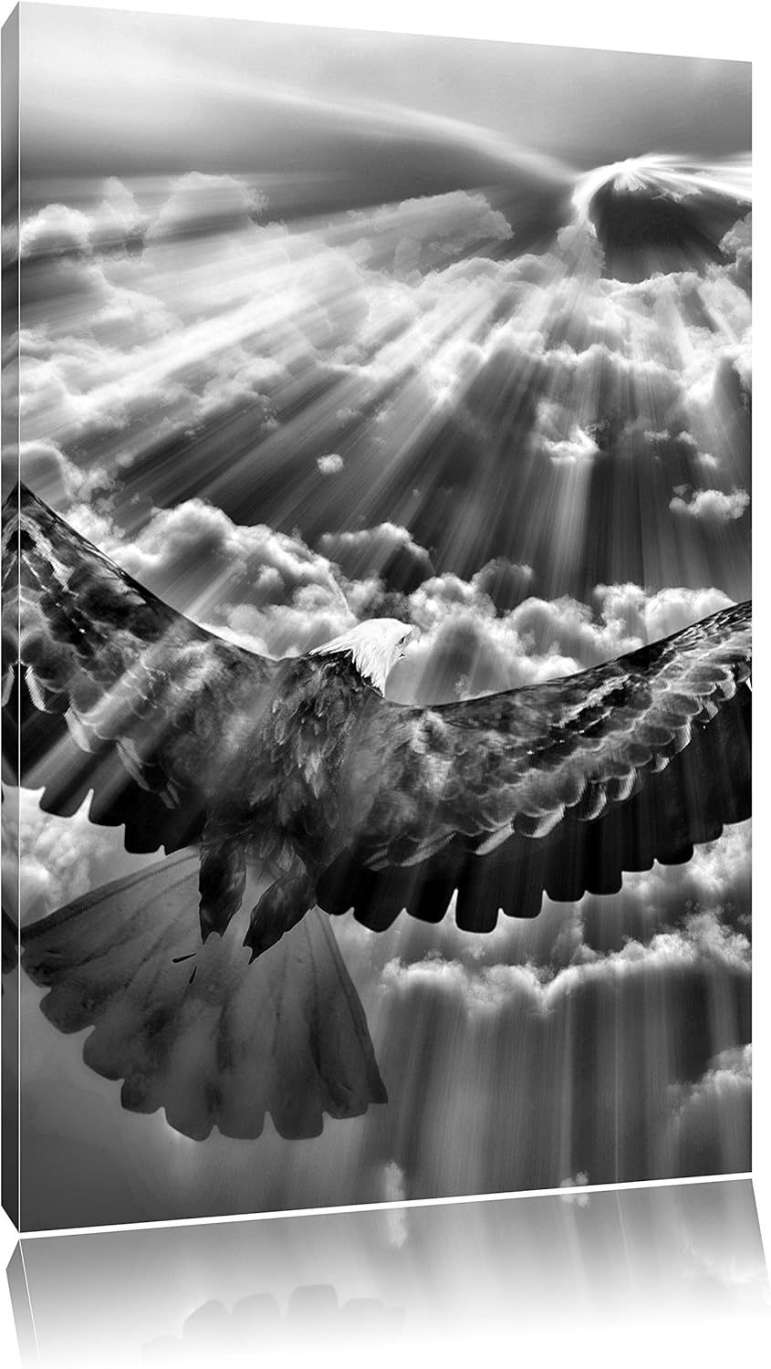 Pixxprint Adler über den Wolken als Leinwandbild | Grösse: 100x70 cm | Wandbild | Kunstdruck | ferti