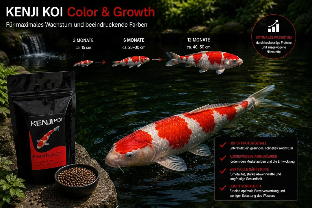 KENJI KOI Color & Growth 5kg 3mm Farbfutter & Wachstumsfutter High Growth & Color Koifutter Teichfis