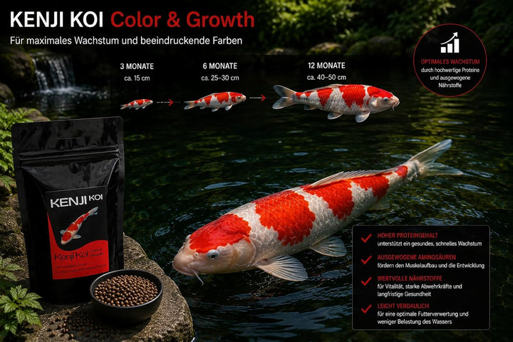 KENJI KOI Color & Growth 5kg 3mm Farbfutter & Wachstumsfutter High Growth & Color Koifutter Teichfis