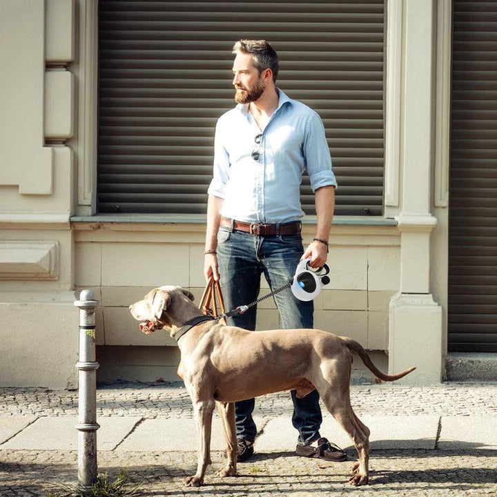 Einziehbare Hundeleine, Hundeleine 5m, Rollleine für Hunde, mit LED-Licht, 360° Verhedderungsfreier,