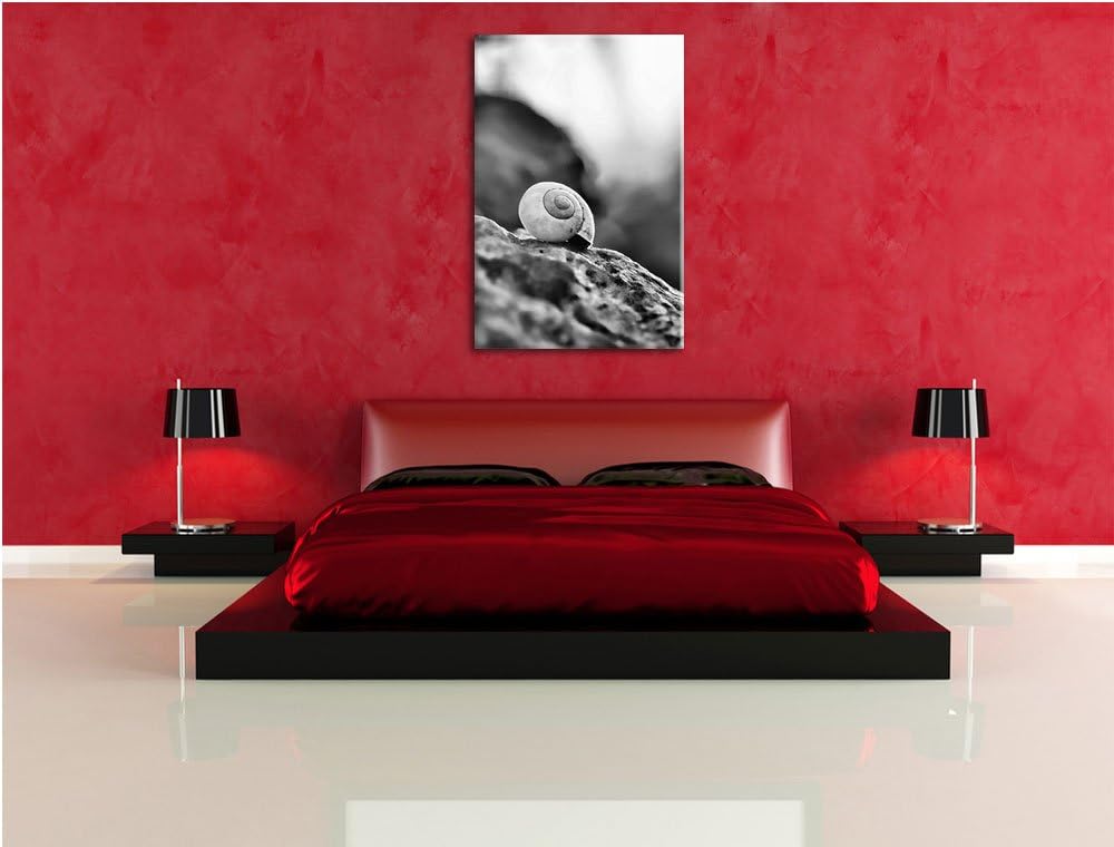 Pixxprint kleine Schnecke auf Stein als Leinwandbild | Grösse: 100x70 cm | Wandbild | Kunstdruck | f