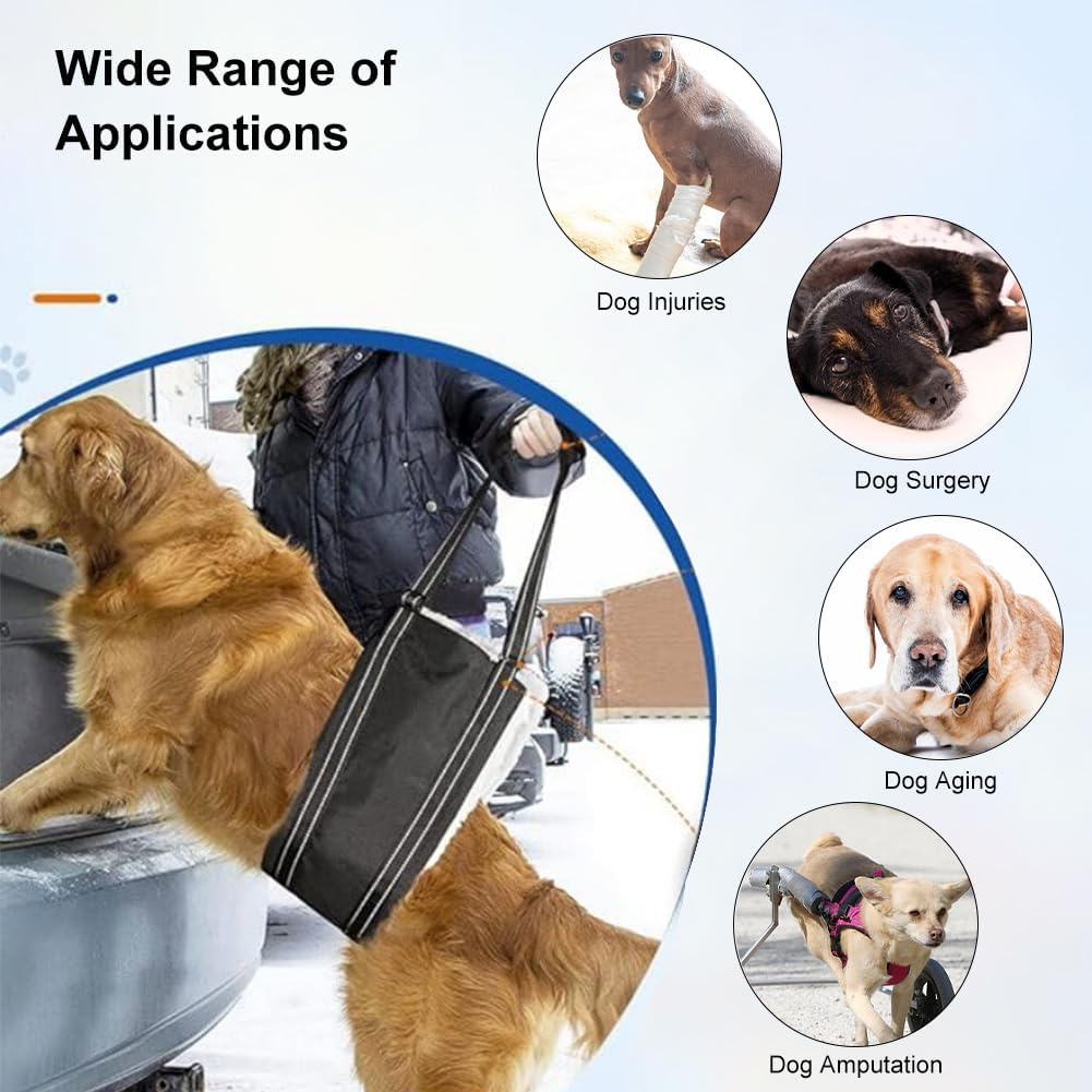 Hunde Tragehilfe, Verstellbare Gehhilfe für Hunde, Hundegeschirr mit Gehhilfe, Hinten Lift Support G